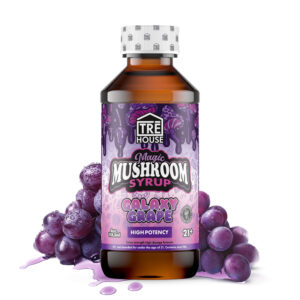 TreHouse Galaxy Grape Magic Mushroom Syrup