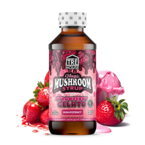 TreHouse Strawberry Gelato Magic Mushroom Syrup