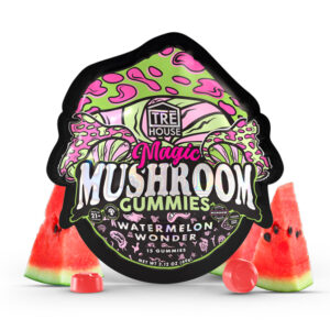 TreHouse Watermelon Wonder Magic Mushroom Gummies