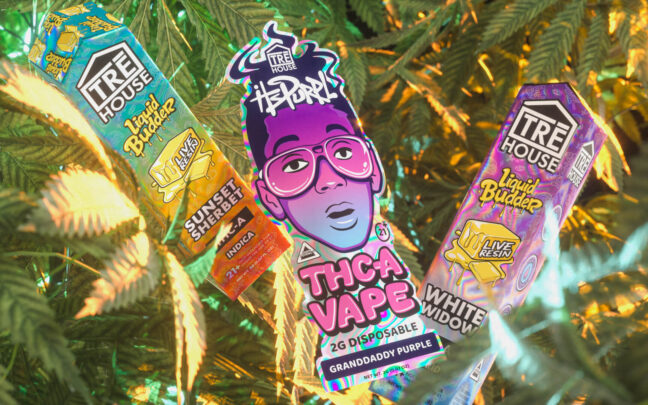 Cannabis Vape Pens 101: What Are the Best THC Vape Pens for Beginners?