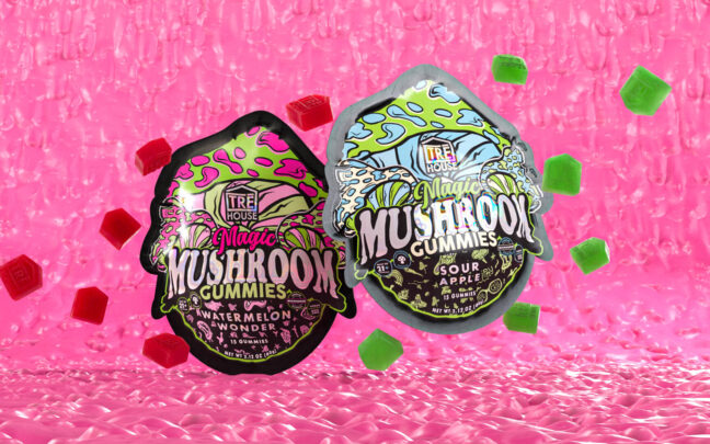 Dive Into a Fun-Guide: What Are Mushroom Gummies?